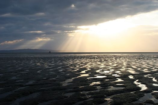 Low tide on the Firth of Thames, Coromandel Peninsula, New Zealand