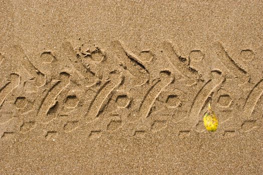 A three or four wheeler motorbbike leaves its mark in the sand