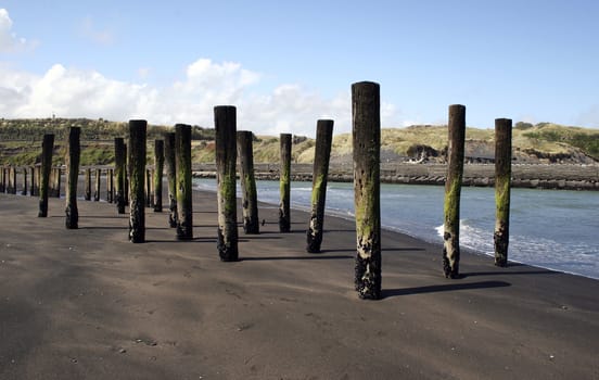 Wooden poles stand out of the sand at Patea, Taranaki, New Zealand