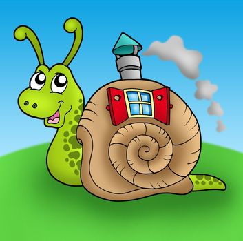 Snail with shell house on meadow - color illustration.