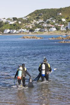 Entering the water at Island Bay, Wellington, New Zealand