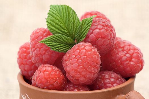 fresh raspberries
