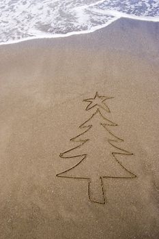 Christmas tree in the sand. A summer Christmas in the Southern Hemisphere.