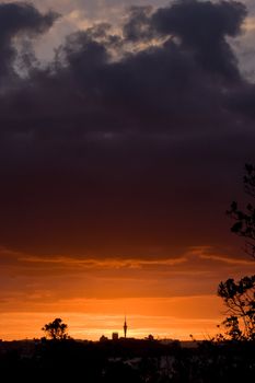 Auckland City with the iconic Sky Tower at Sunset. Viewed from Rangitoto Island, Hauraki Gulf, New Zealand.