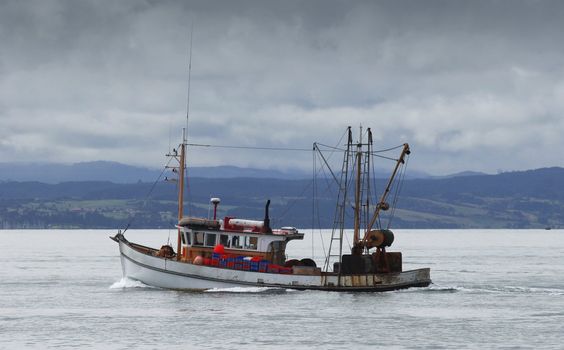 A rusty fishing boat chugs along the Hauraki Gulf in New Zealand