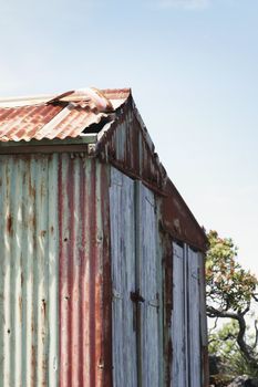 A weathered boat shed sits on the rocky shore of Rangitoto Island, Hauraki Gulf, New Zealand