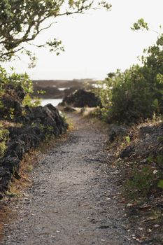 A path winds around the rocky shore of Rangitoto Island, Hauraki Gulf, New Zealand