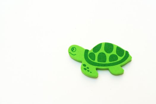 green turtle isolated on a white background