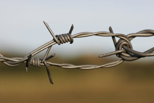 A close-up shot of barbed wire