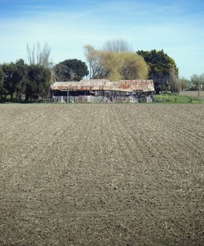 A corrugated iron shed sits on the edge of a ploughed field in Clive, Hawkes Bay', New Zealand