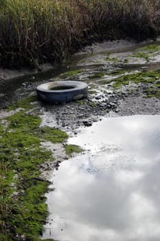 Pollution of our natural waterways
