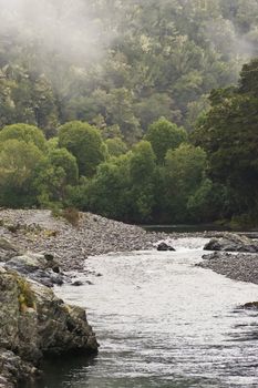 Pelorous River in the North of the South Island, New Zealand.