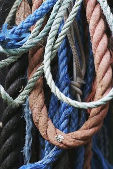 A bunch of weather-worn ropes hang off a seaside bach