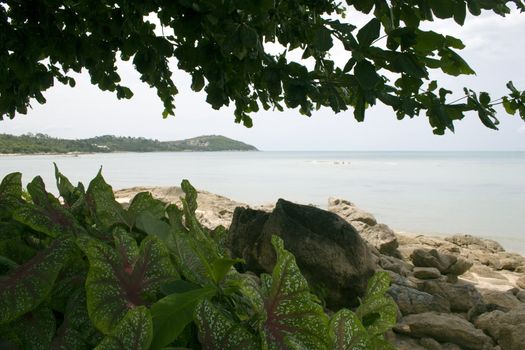 The coast of Koh Samui, Thailand