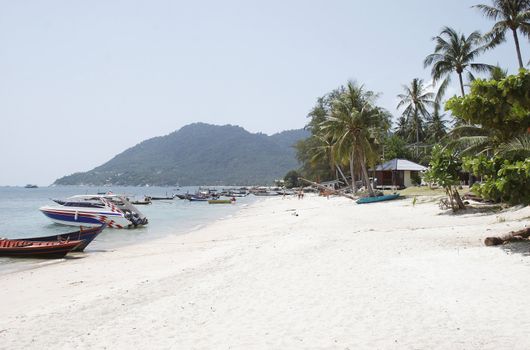 Koh Tao, Turtle Island, Thailand