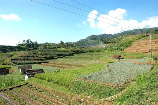 village scenery in kuningan, west java-indonesia