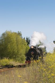 A steam train chugging through Hawke's Bay, New Zealand