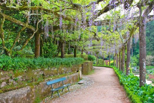 Terraced garden on the area of The Bucaco or Bussaco Palace