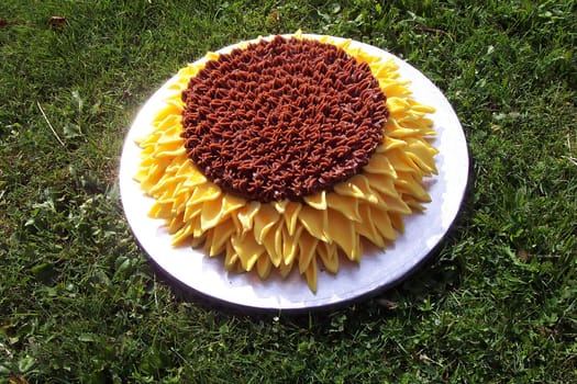 A sunflower cake on a lawn