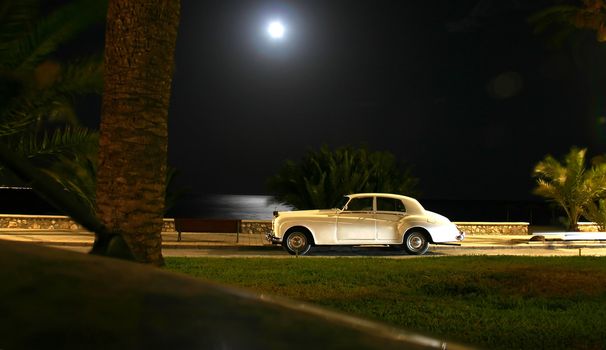 A white car in tropical moonlight