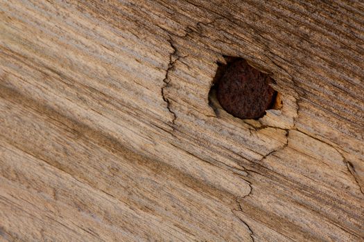 Rusty nail in wood