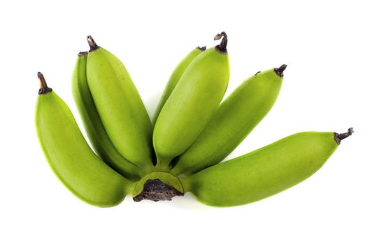 A bunch of unripe baby bananas. 
