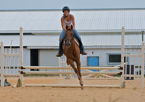 Athletic teen girl jumping a horse over rails.  Photo taken from front during the landing.