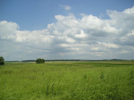 My alternate desktop wallpaper for Windows XP ) green field during summer