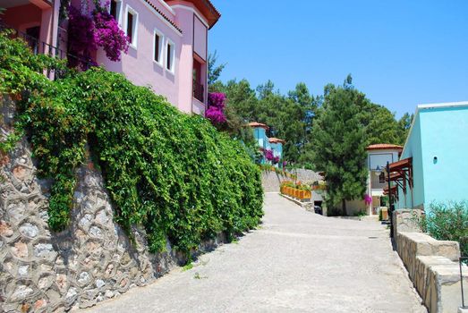 Miditerranean Street Road Full of Blooming Trees and Purple Flowers