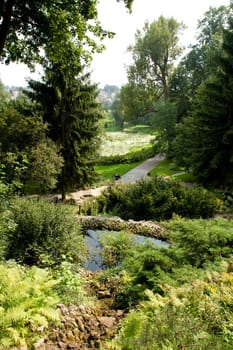 green landscape at the end of summer