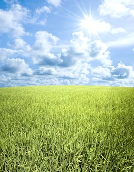 green field and sky 