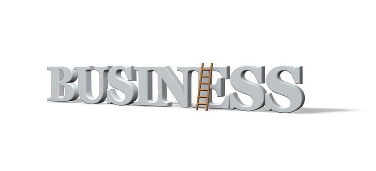 the word business and a ladder - 3d illustration