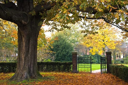Gate to the park in autumn with tree and fallen leaves