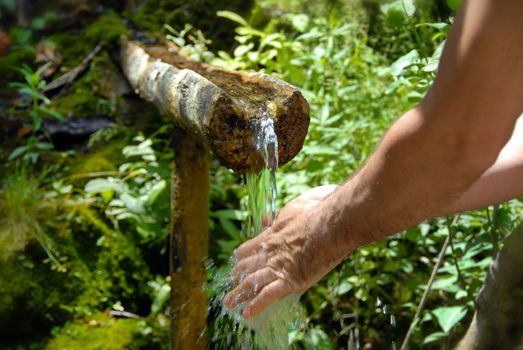 man washing his hands by spring water under wooden gutter over green natural background