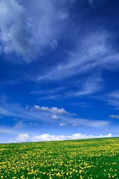 Spring landscape - green fields, the blue sky