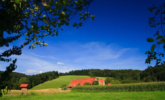 sumer landscape at Germany wiht blue sky and mountain