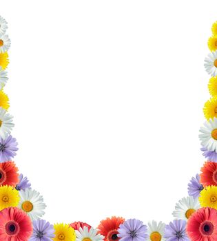 Beautiful border made from lot of color flower heads