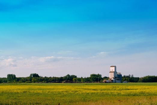 A prairie field with a grain elevator in the distance shot with lots of copyspace in the sky