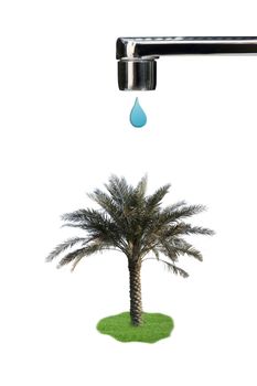 Faucet with water drop and palm tree