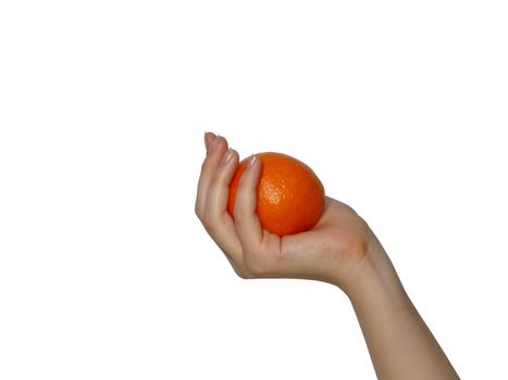 Person`s hand holding a tangerine