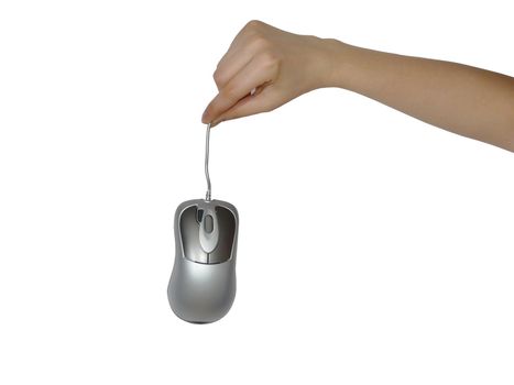 person`s hand holding computer mouse