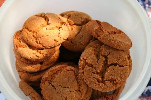 Ginger snaps at Farmer's market