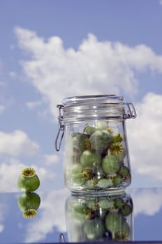 green poppy seeds heads in jar on mirror