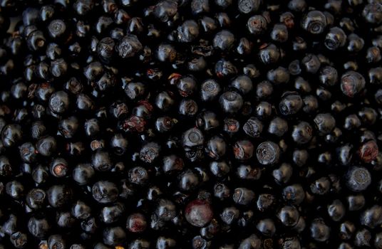 lots of fresh blackberries from forest in poland