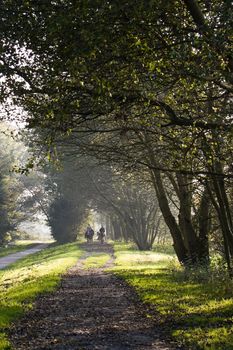 Sandpath in the country on beautiful autumn day