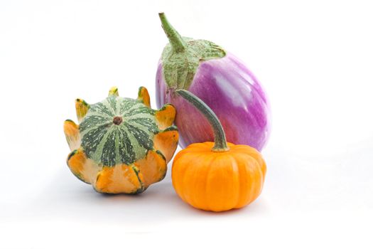 two squash and eggplant on a white background