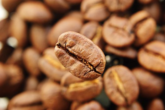 Background of coffee beans and one focused in front