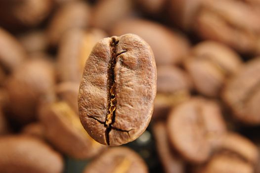 Background of coffee beans with one big in focus