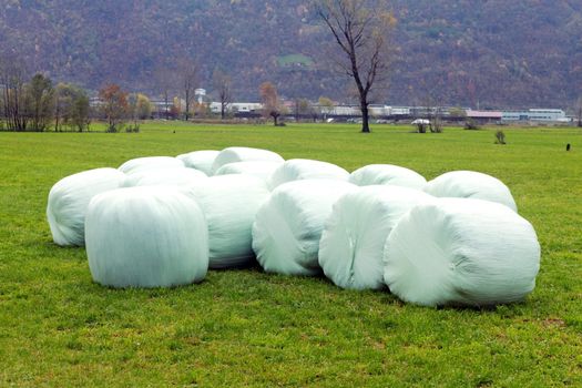 Bales of hay in Valtellina, north Italy