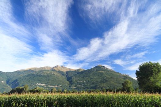 Landscape in north Italy, Pian di Spagna Oasis